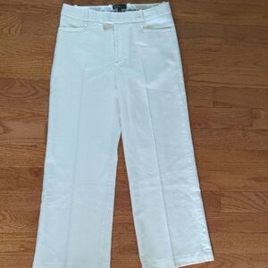Banana Republic Lido Straight Italian Wool Cream Pant